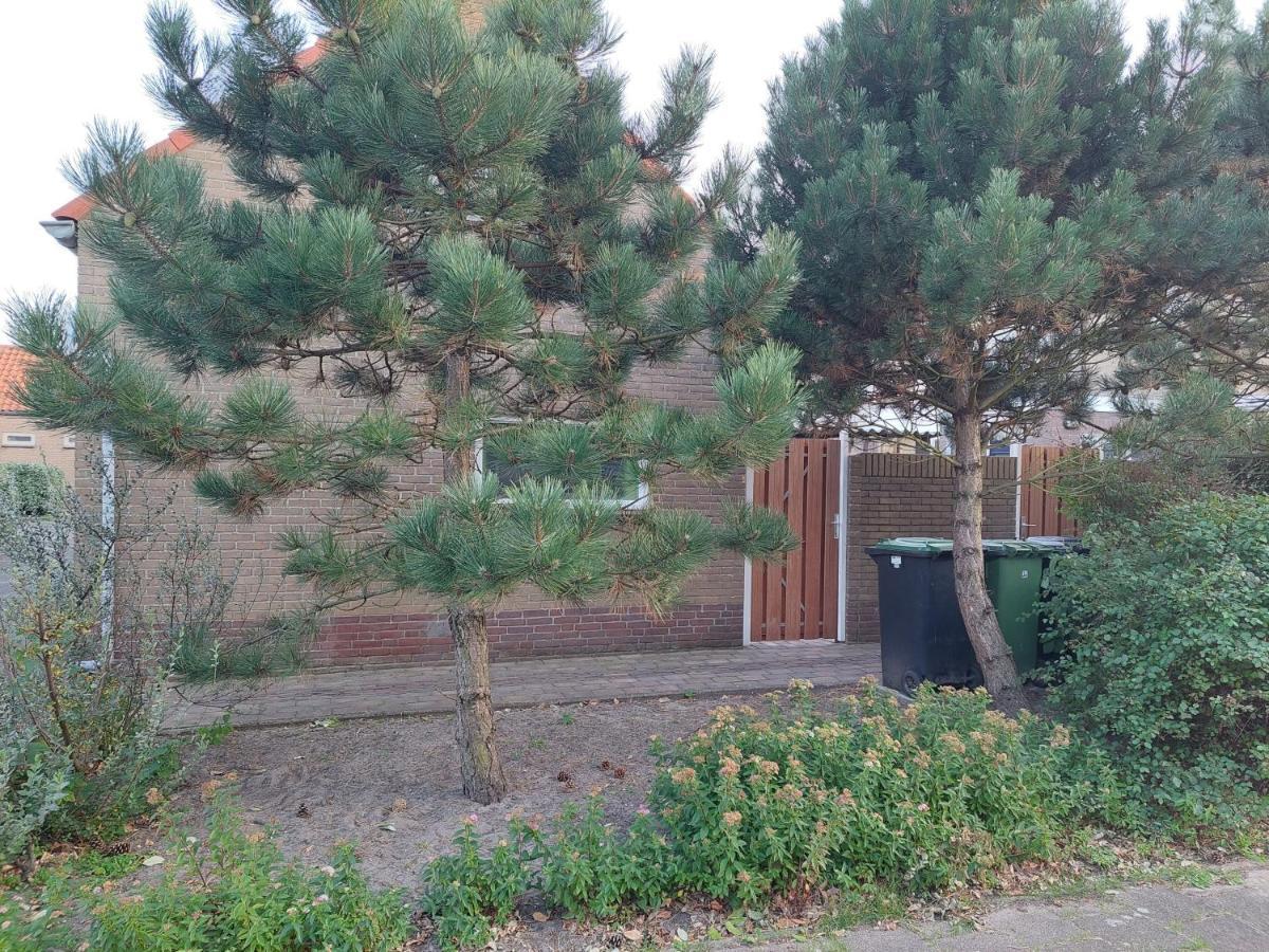 Zomerhuis Simoons Holiday home