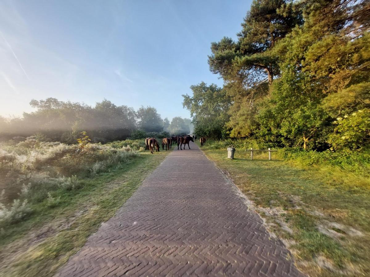 Zomerhuis Simoons Holiday home Egmond aan Zee